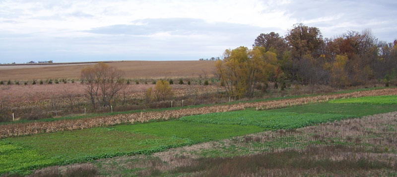 A Beginners Guide to Food Plots - Whitetail Master Academy